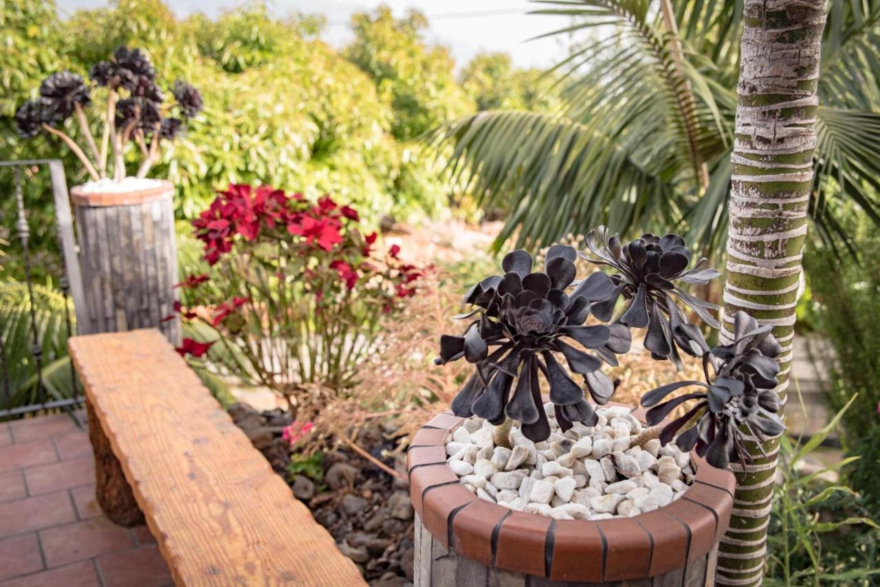 Finca Pozo Taburiente إل باسو المظهر الخارجي الصورة